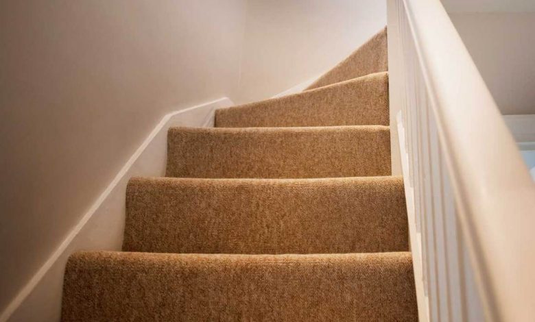 How You Can Protect The Carpet Of Stairs In Your Homes?