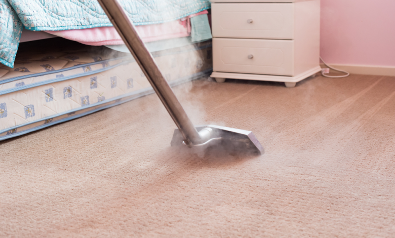 Steam Carpet Cleaning Service
